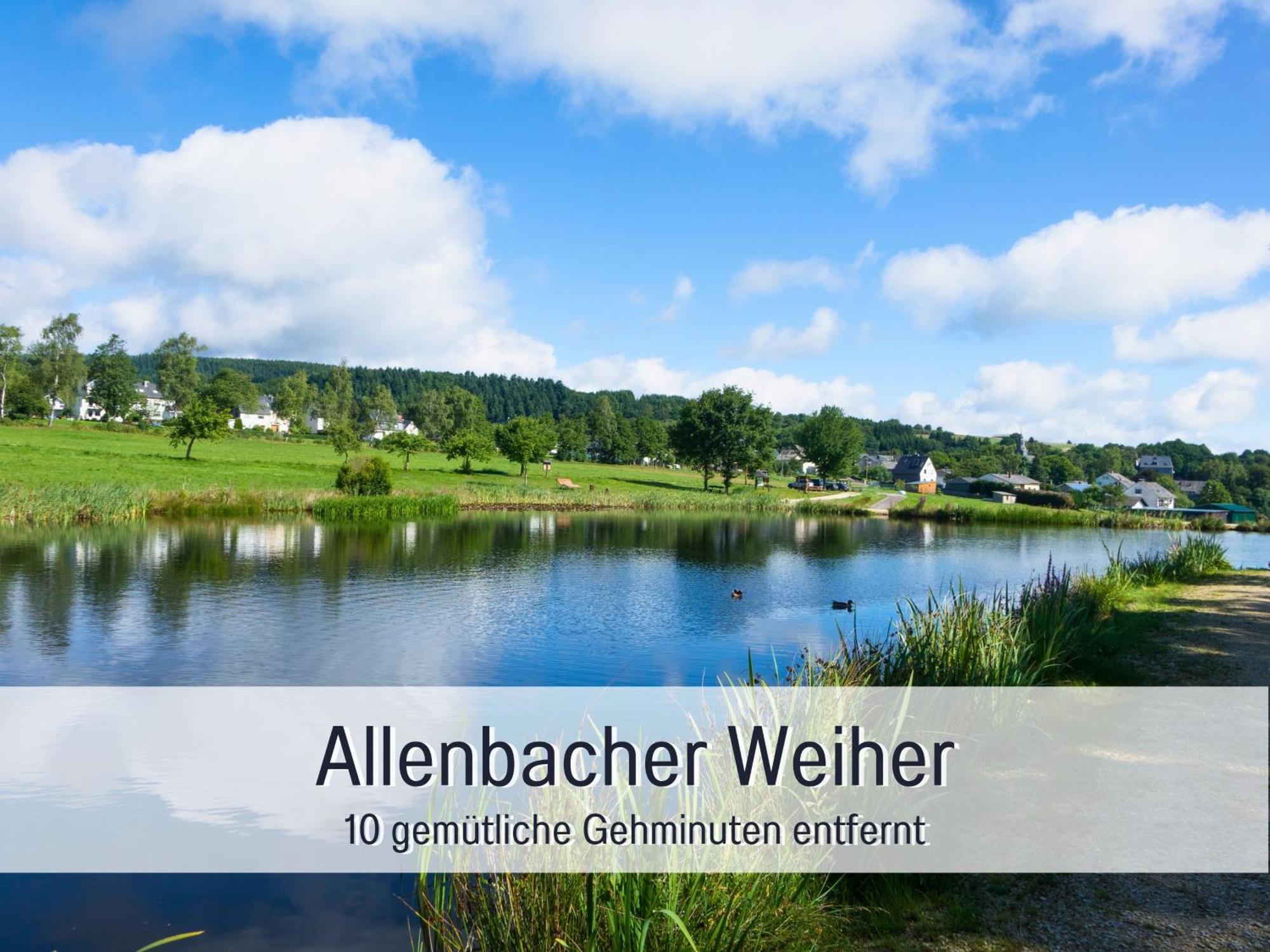 Natur-Chalet Zum Nationalpark Marie-Luise Inkl E-Auto Allenbach エクステリア 写真
