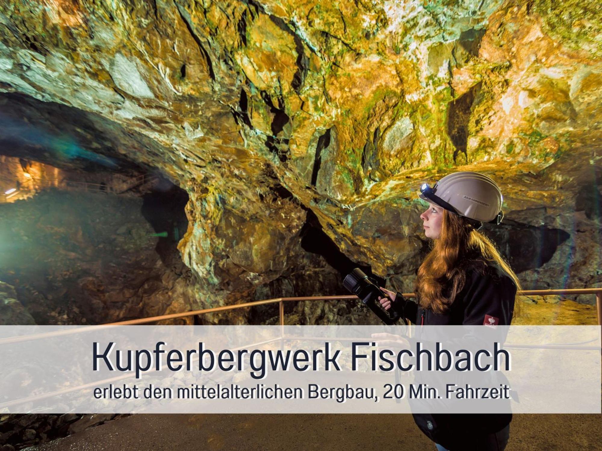 Natur-Chalet Zum Nationalpark Marie-Luise Inkl E-Auto Allenbach エクステリア 写真