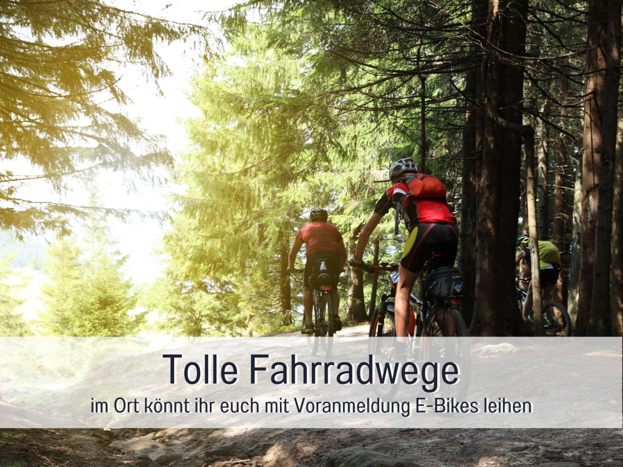 Natur-Chalet Zum Nationalpark Marie-Luise Inkl E-Auto Allenbach エクステリア 写真
