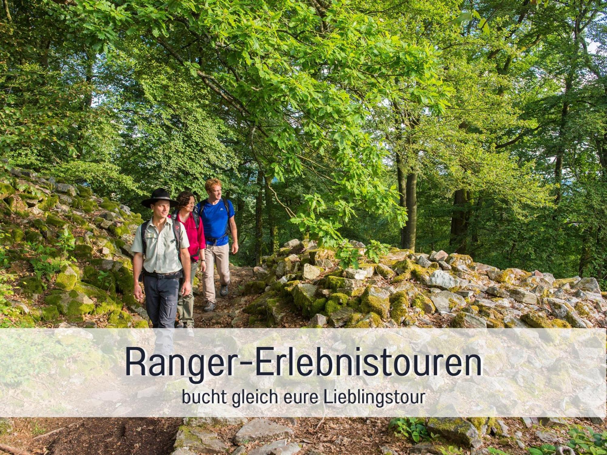 Natur-Chalet Zum Nationalpark Marie-Luise Inkl E-Auto Allenbach エクステリア 写真