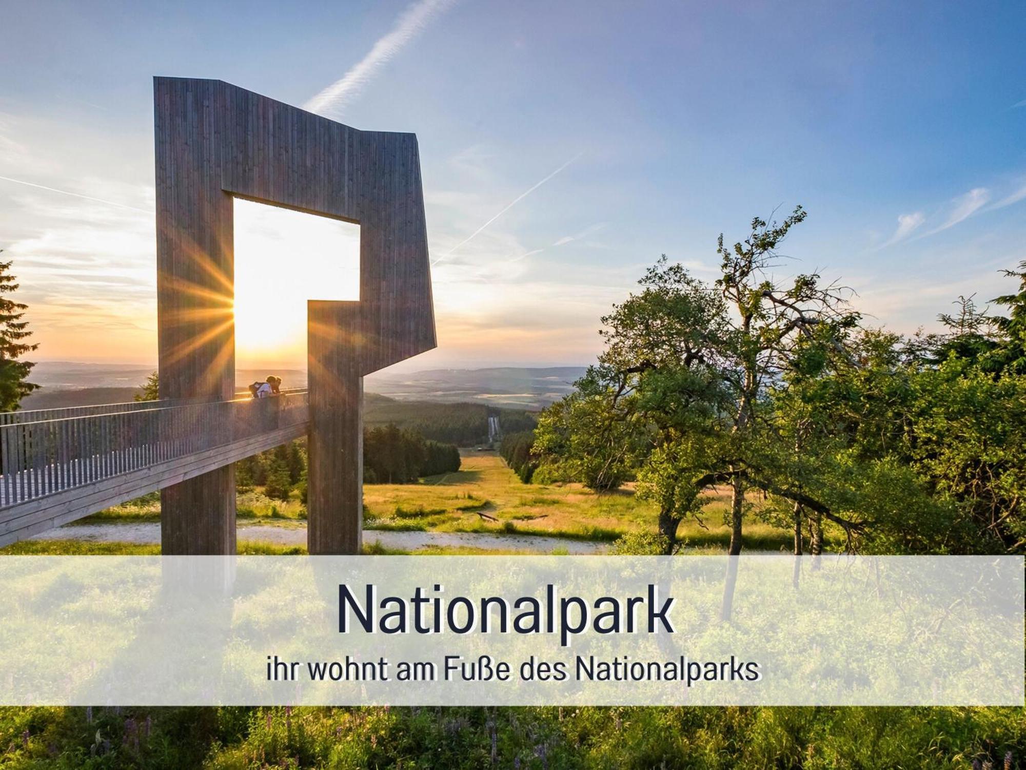 Natur-Chalet Zum Nationalpark Marie-Luise Inkl E-Auto Allenbach エクステリア 写真