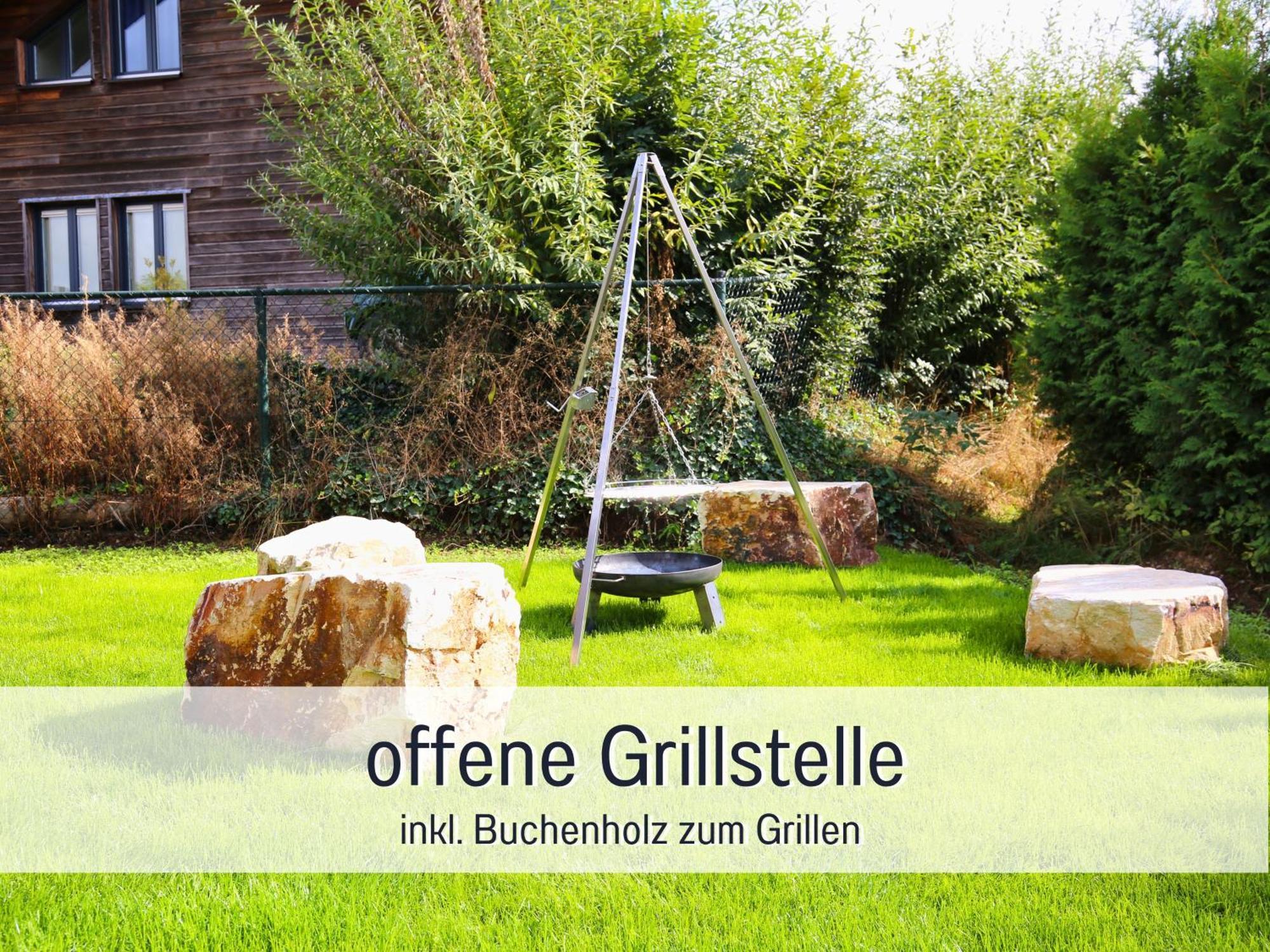 Natur-Chalet Zum Nationalpark Marie-Luise Inkl E-Auto Allenbach エクステリア 写真